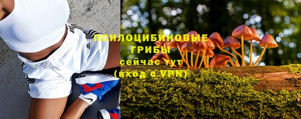 первитин Армянск